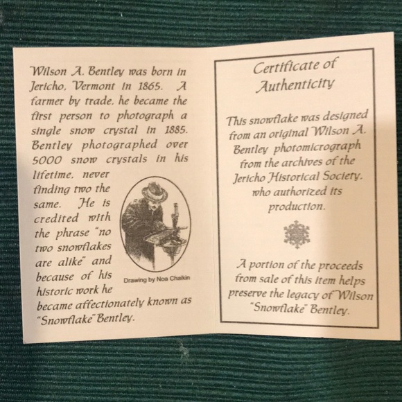 Snowflake Bracelet - Picture 4 of 4